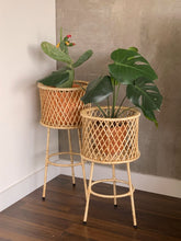 canasto-en-mimbre-para-plantas-cestas-decorativas-plantas-de-interior-decoracion-macetas-para-plantas-habibi-plantitas.jpg